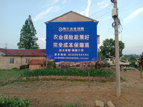 汶川墙体广告的优劣势你知道吗？